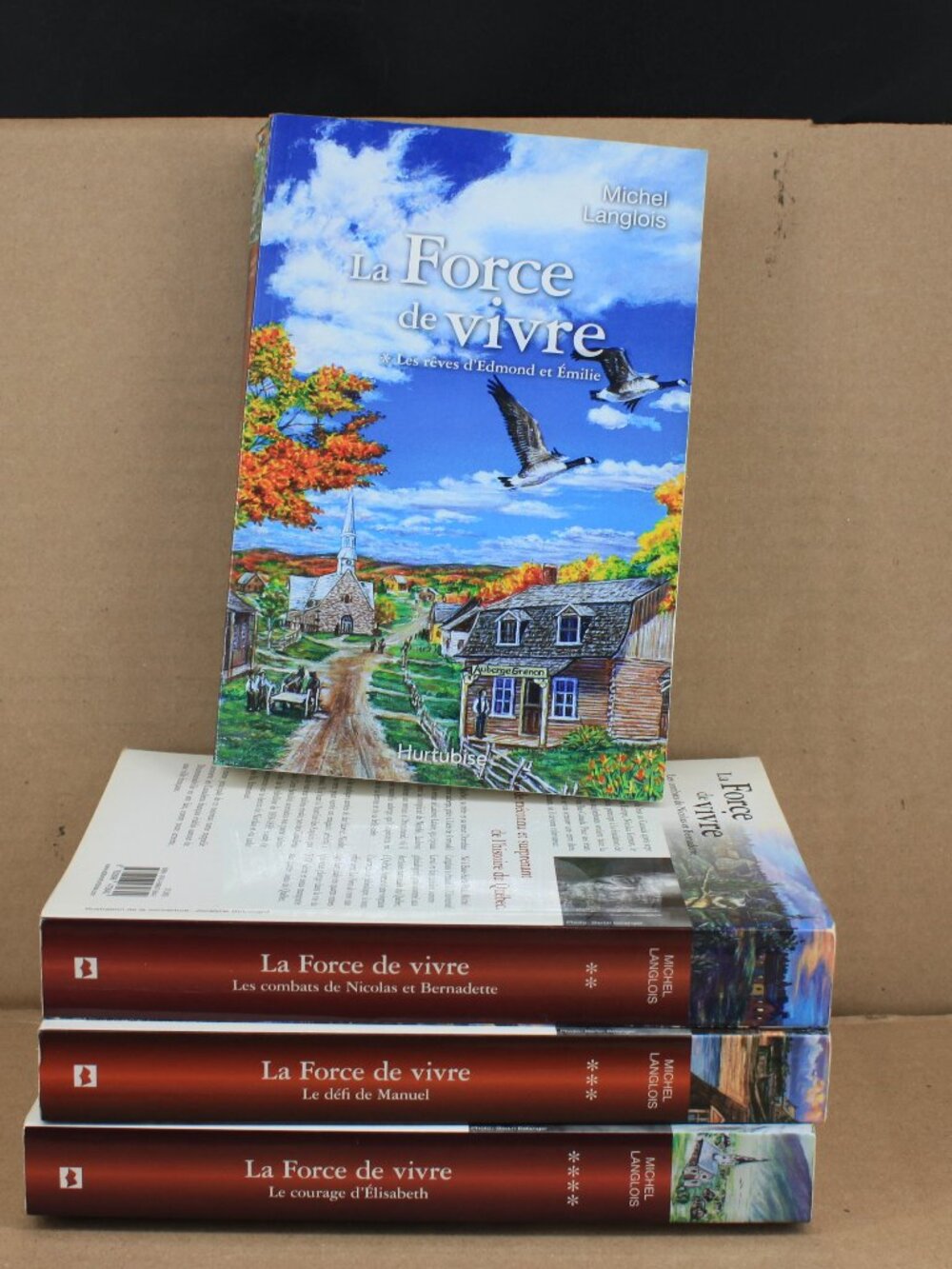 Lot 4 Livres Books - Michel Langlois - La Force De Vivre French